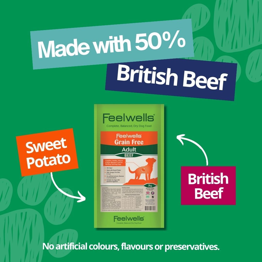 Have you tried our latest flavour? 😋 Our Beef and Sweet potato complete food is #healthy, #natural & hypoallergenic! 💚 A delicious source of #protein and is rich in amino acids, vitamins & minerals 🥩 Try now: buff.ly/46qklnw