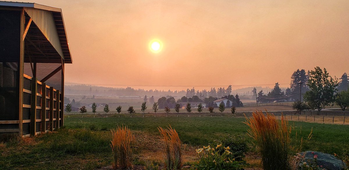 Stephanie Alexandra tweet media