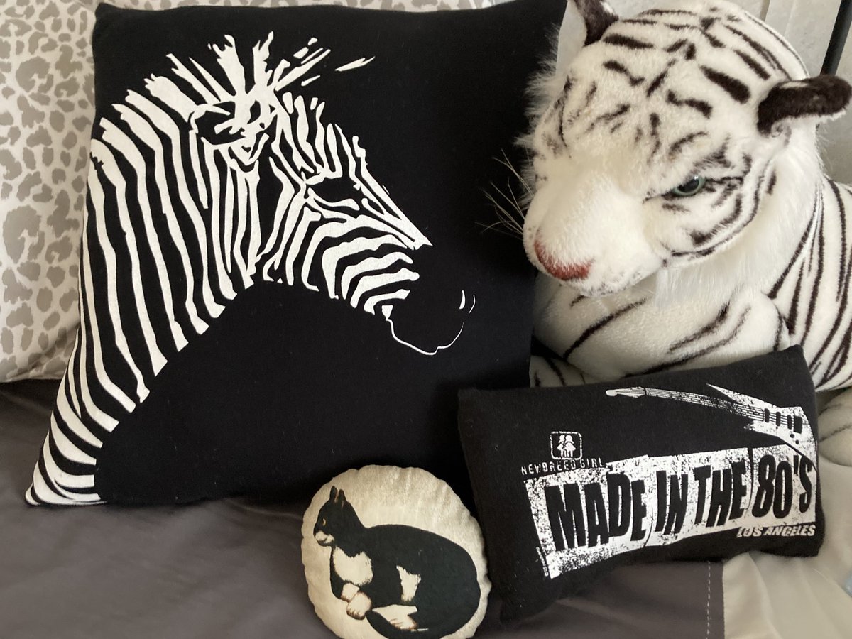 Another old tshirt upcycled into a pillow. Just in time for Earth Day tomorrow 🦓