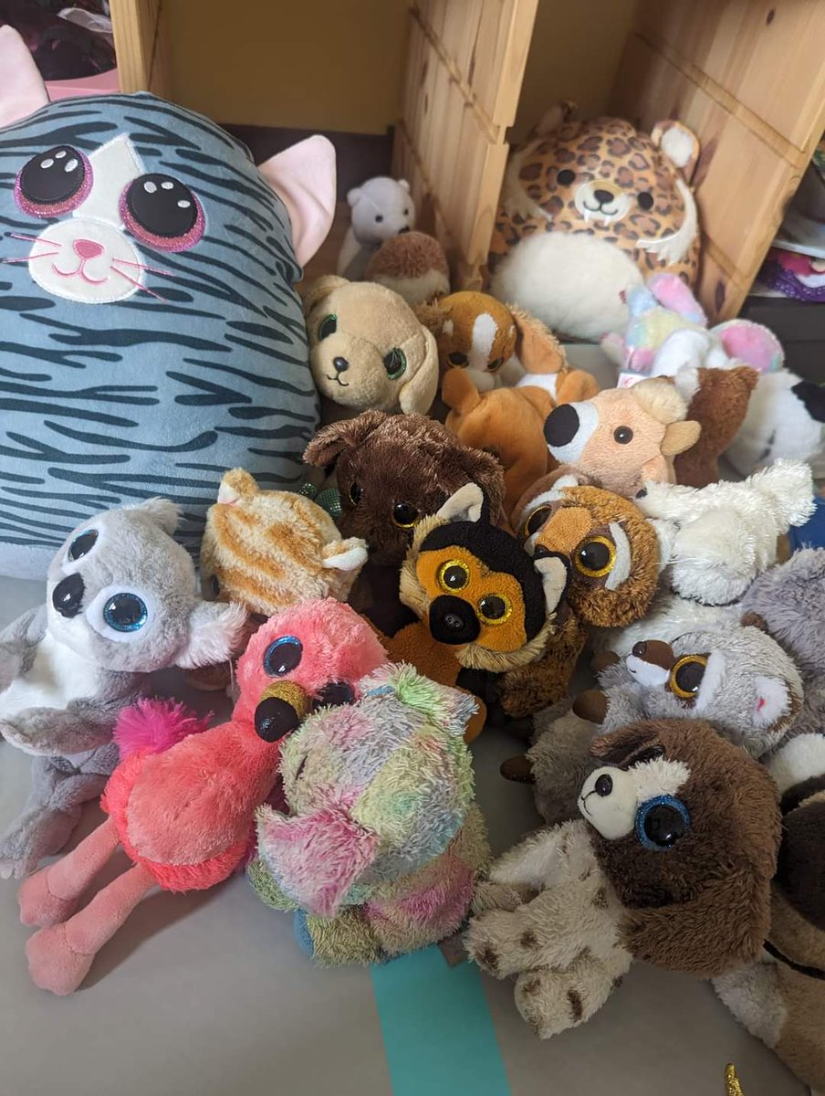 Do you have any unwanted Soft Toys? 

Please consider donating them to our Summer Fair. 

Collection boxes will be out in the class areas all next week for pre-loved soft toys. 

Good condition only please. 

@ComelyParkPS <a href="/Comely_Nursery/">Comely Park ELC</a>