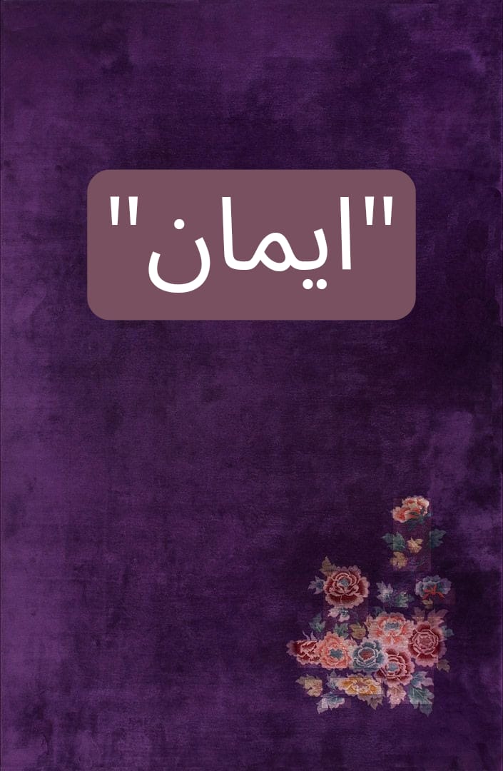 ام ابراہیم tweet media