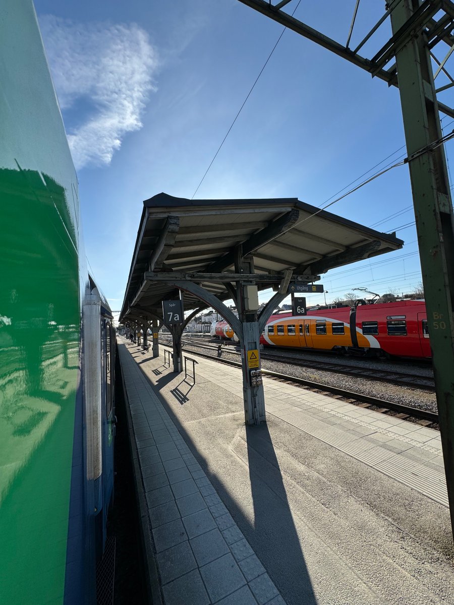 TimOnICE tweet media