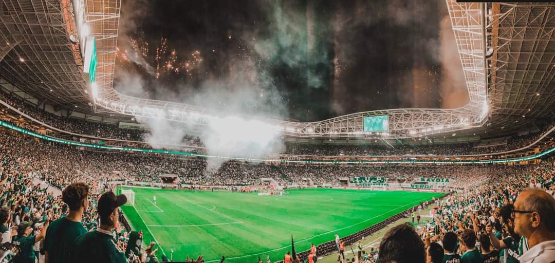 QUERIA IR NO ALLIANZ PARQUE HOJE APOIAR O VERDÃO… 🐷💚