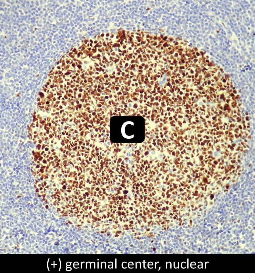 DrCycloPath tweet picture