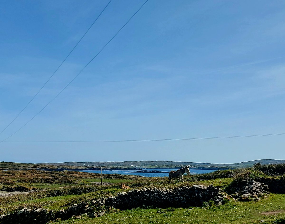 More sunshiny posts from the #WestCork paradise .... #purecork #discoverwcork #heirisland #skibbereen