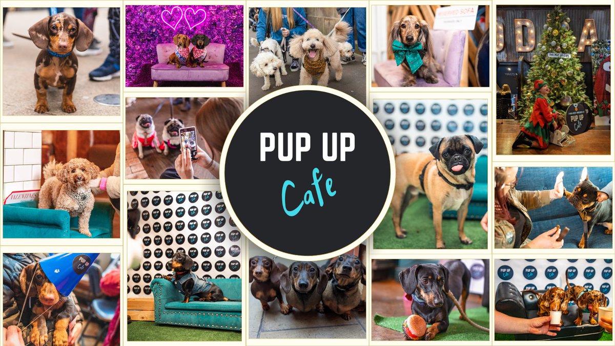 Soon: Pup Up Cafe at Brewhouse & Kitchen

May 25 ft Dachshund edition & All Paws edition
Details: pupup.cafe/birmingham/
#SuttonColdfield #BrumHour