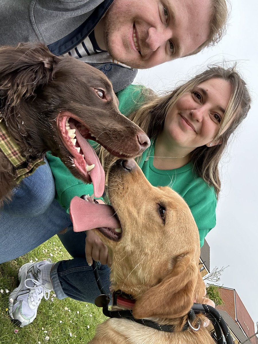 ** Announcement Time ** The secret is finally out, this week we welcomed Orla into our family. Orla is a 9 month old Fox Red Labrador who we’ve adopted into her new forever home! Cooper is no longer flying solo, and has a new sister to play with and burn his endless amount of