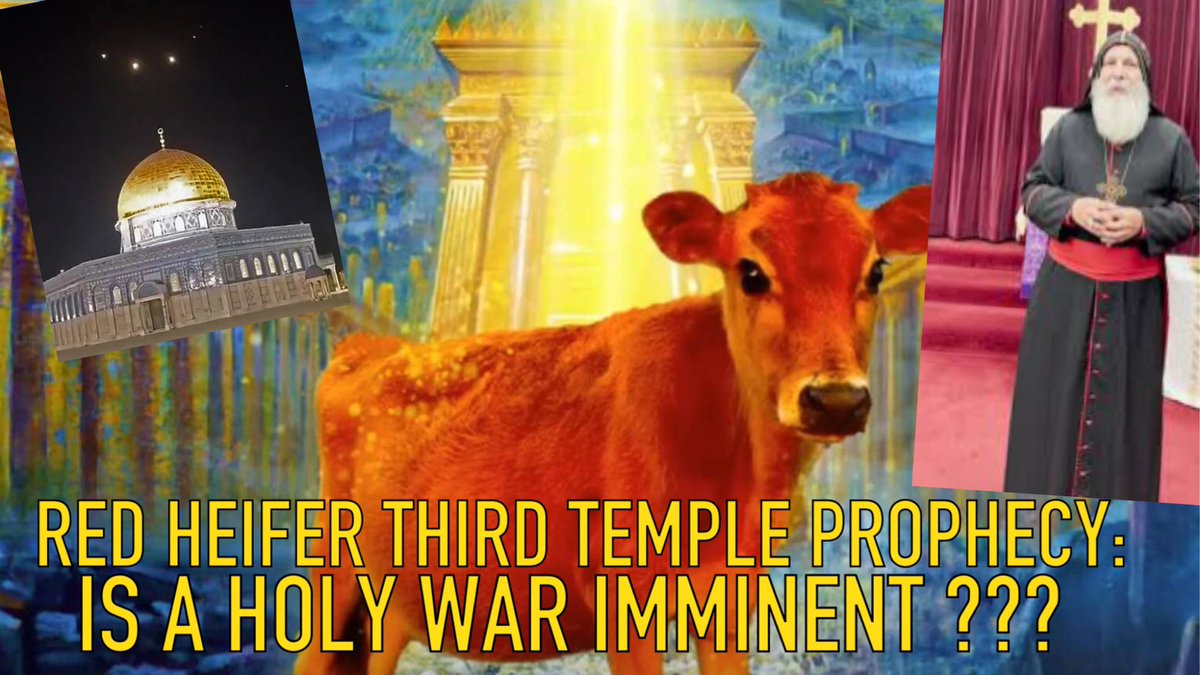 RED HEIFER THIRD TEMPLE PROPHECY: IS A HOLY WAR IMMINENT ???

Link below 👇 
youtu.be/aN5uQ4uT4Ug

#redheifer #thirdtemple #prophecy #marimaremmanuel #holywar