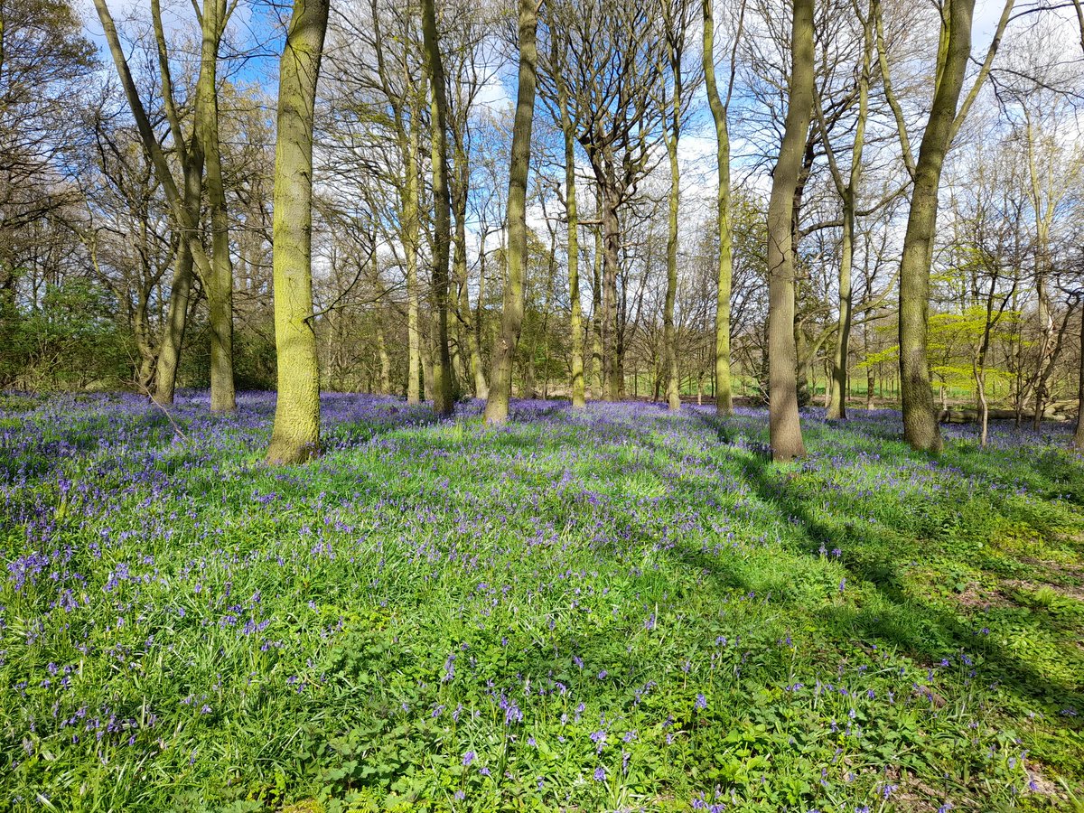 MarkSenior08's tweet photo. @nationaltrust Quite right, Nostell priory. https://t.co/tqejmeHex5