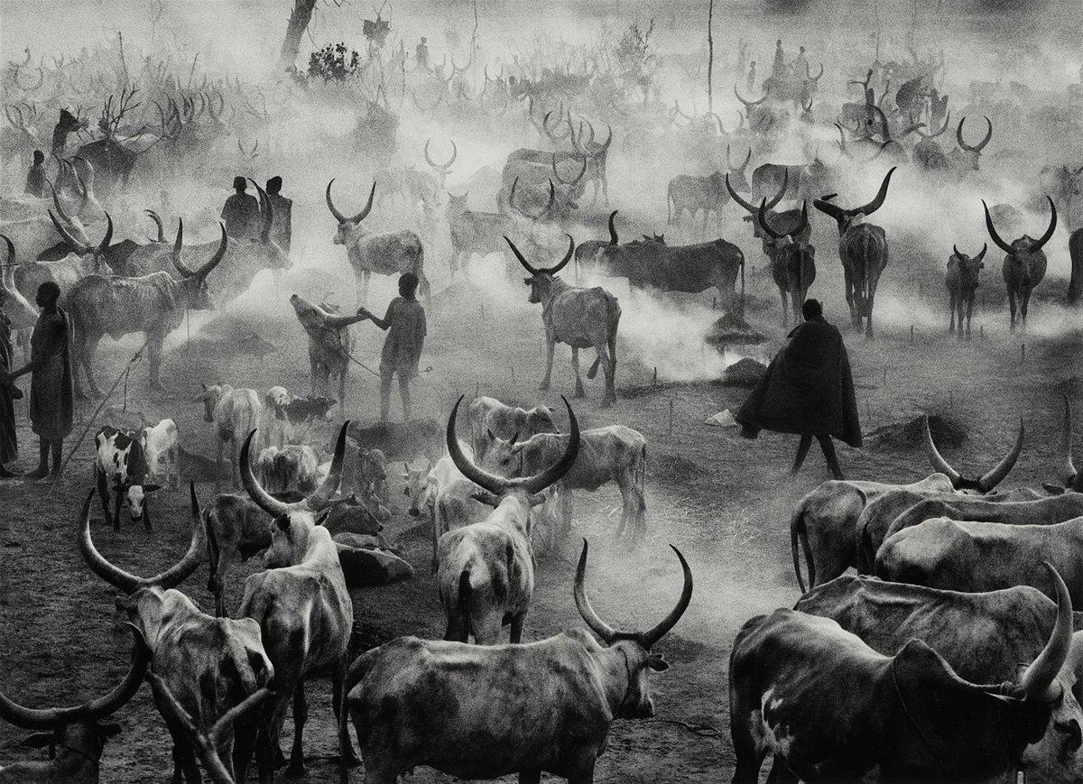 Dinka cattle camp of Amak, Southern Sudan. Sebastião Salgado, 2006.