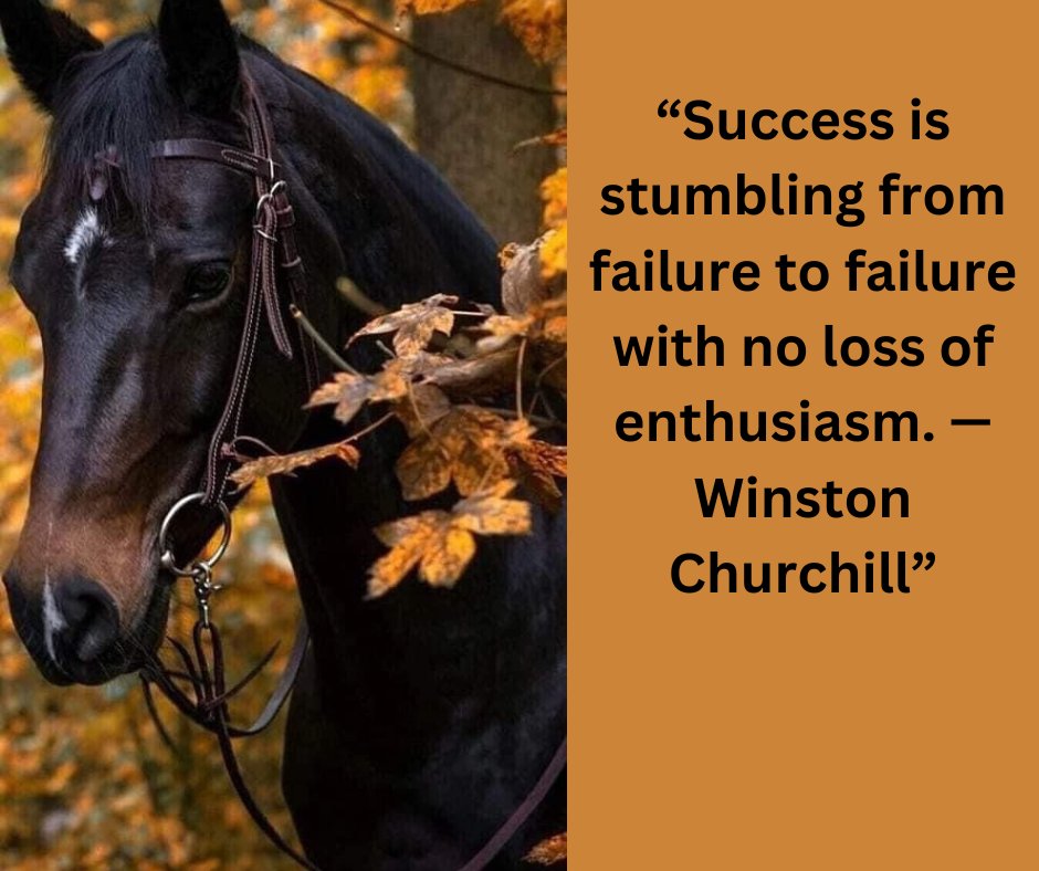 “Success is stumbling from failure to failure with no loss of enthusiasm. —Winston Churchill” 
#failure, #success, #winstonchurchill