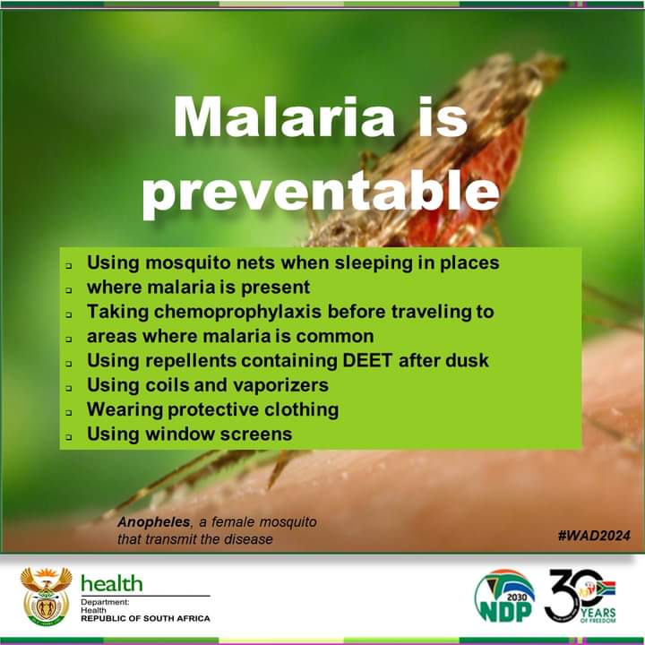 Malaria is a life-threatening disease transmitted to humans through infected mosquito bites, but it is preventable by the use of protection measures against mosquito bites. #WMD2024