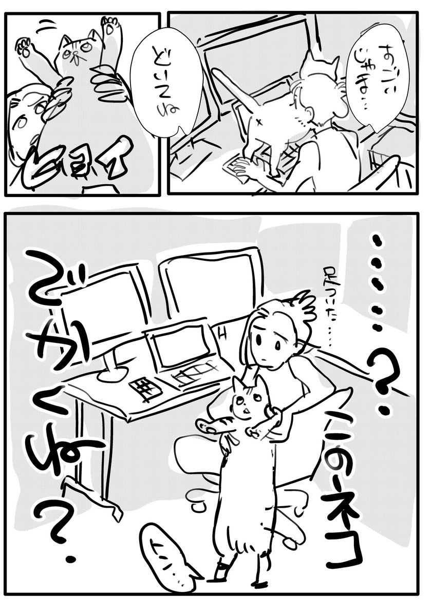 猫ちゃんでっかいね 