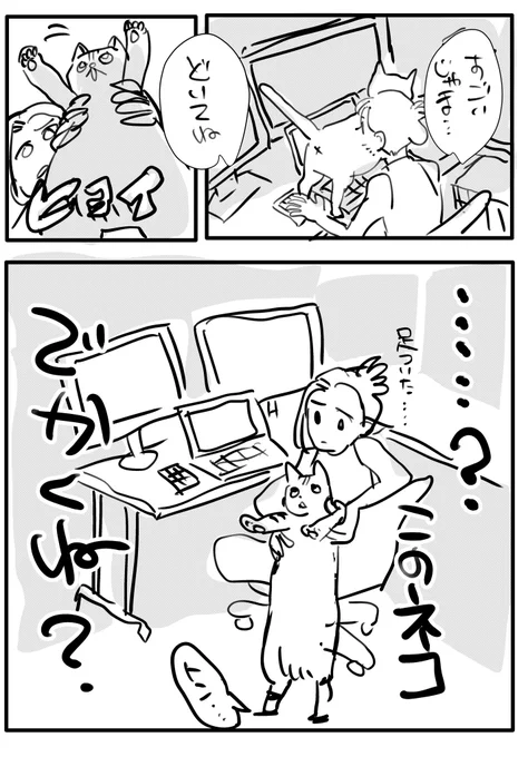 猫ちゃんでっかいね 