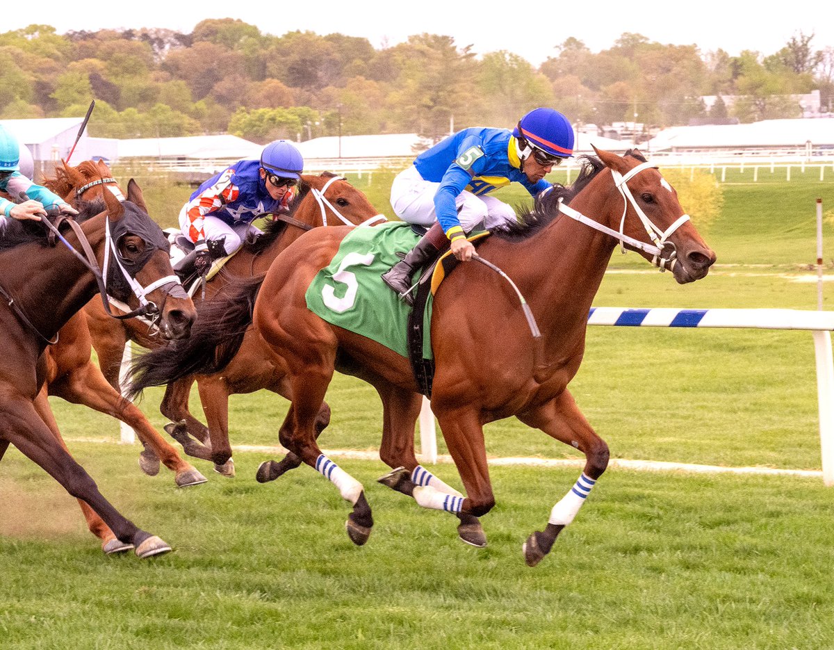 Justified Strategy ships north from Florida for @PTHA17-based trainer John Servis and wins one-mile MSW on grass @LaurelPark in third start. Jaime Rodriguez aboard 3YO Justify filly owned by Avalon Racing Stable. (Jim McCue 📷)