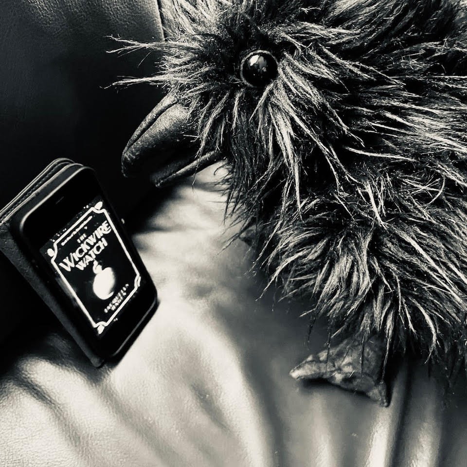 One more review presented by Fenwick. This time it's The Wickwire Watch by Jacquelyn Hagen.

goodreads.com/review/show/56…

#InquisitiveRaven, #SPFBO9, #SPFBO