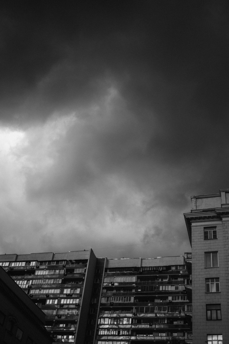 Колесо Собаки (@kolesosob) on Twitter photo 