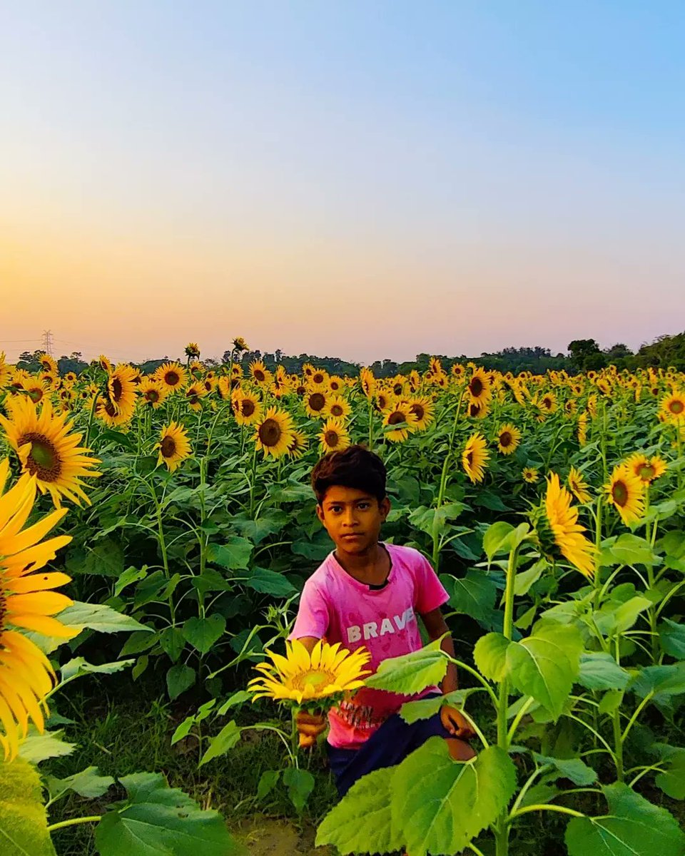 ¡ সে যে বসে আছে ,
একা একা রঙিন স্বপ্ন তার বুনতে ,..🌻
.
.
.
.
.
.
#kolkatadiaries #storiesofkolkata #onlyinbengal #ig_calcutta #thekolkatabuzz #in_kolkata #thisiskolkata #kolkatacityofjoy #streetwayfarer #ohkolkata #debjitsamanta
.
.
Follows on 👇
instagram.com/street.wayfare…