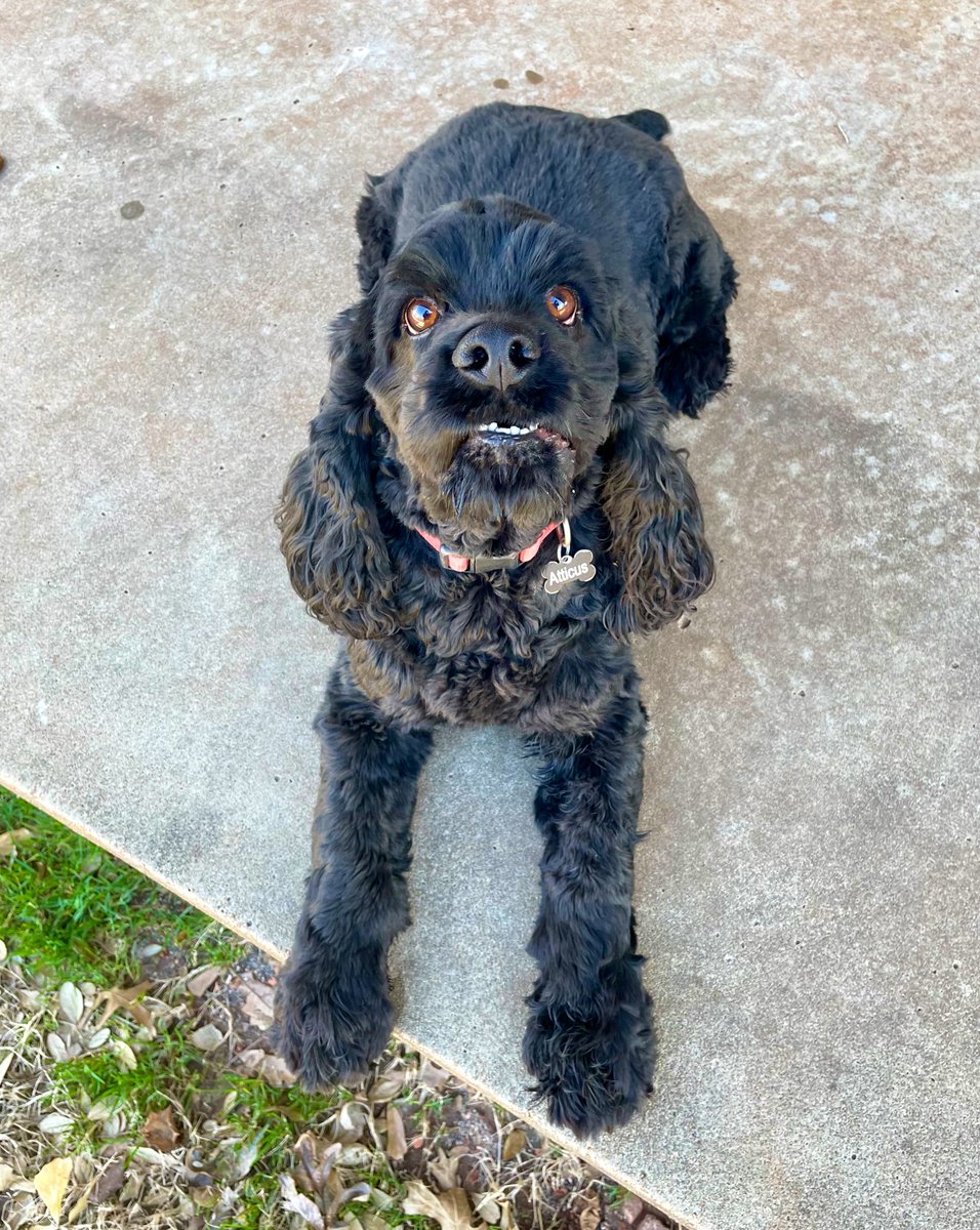 Katy Stephens tweet media