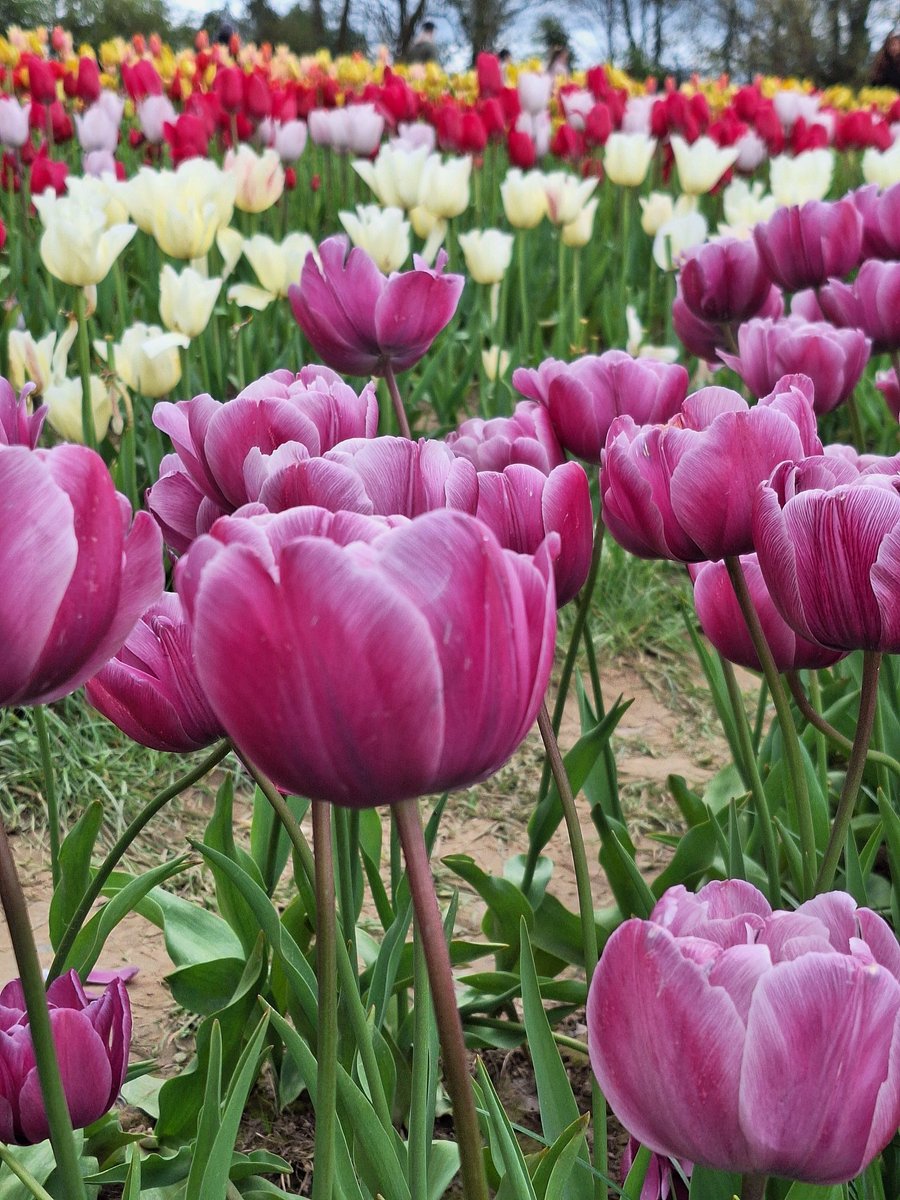 Gary Smith tweet media