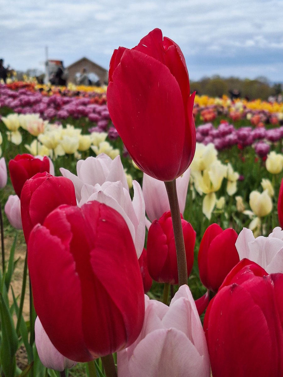 Gary Smith tweet media