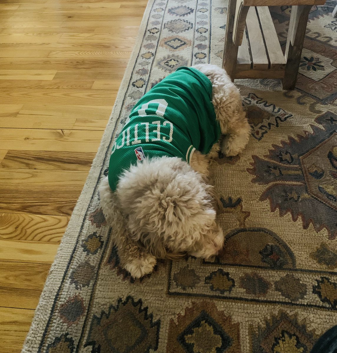 Already can’t hang smh 😩🥹🍀 #DifferentHere #BleedGreen🍀 #Celtics #BosvsMia