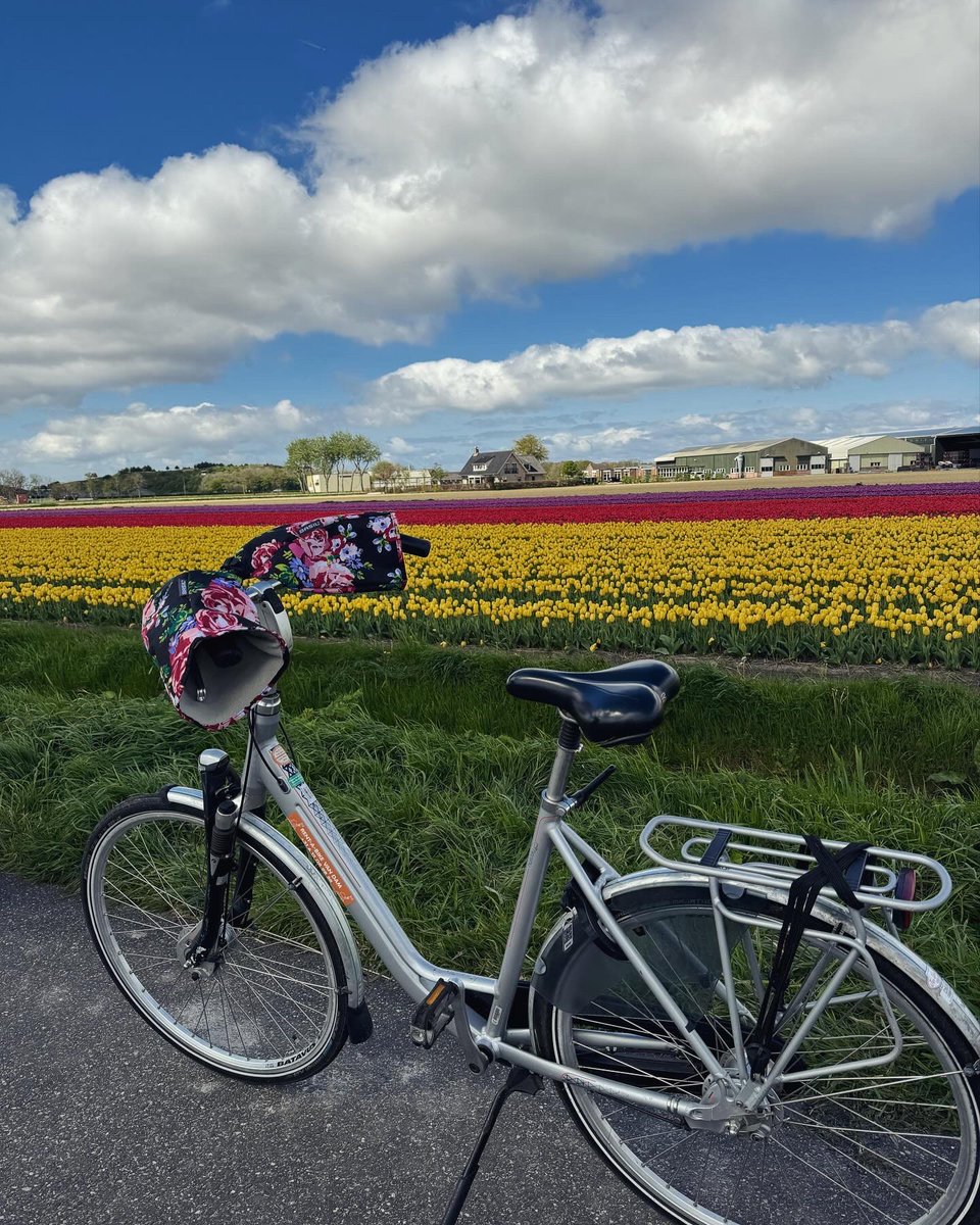 HartnellCeri's tweet photo. Tulip fields cycle fun #Netherlands https://t.co/zKVMaa4B5Q