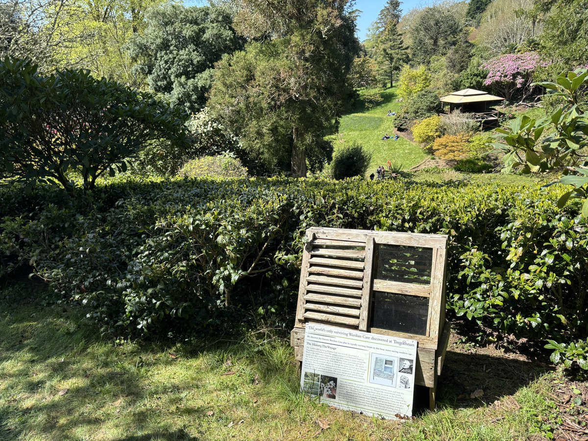 SideBrice's tweet photo. We Visited Tregothnan Estate | Charity Open Garden Event! https://t.co/2dhGQVYgsY via @YouTube @Tregothnan #tregothnantea #tregothnan #tresillian #truro #cornishtea #britishtea #tea https://t.co/JGgbCum02p