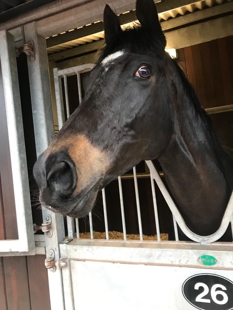 What a run from Starsky today for @MikeSmithRacin1 9 years old and still loves it,@311_mathers gave him a great ride & I even got interviewed by @LeglockLuke before the race #fame #blackfriday