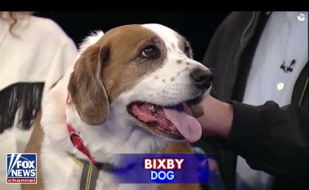 Shout out to everyone who tuned into ⁦@FNSaturdayNight⁩ and thanks to Bixby for sharing his dog treats with ⁦@BrianBrenberg⁩ in the green room.