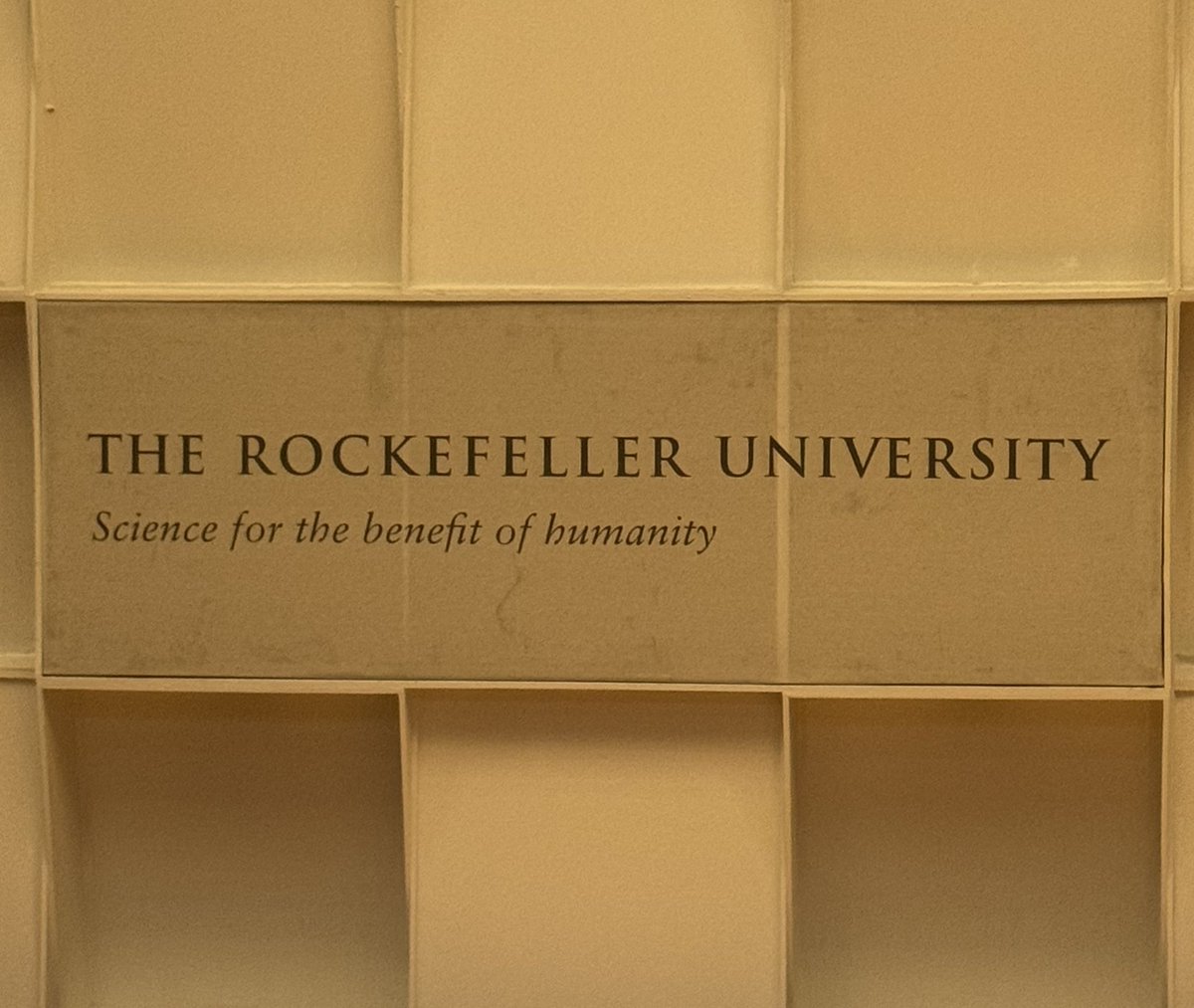 SimoneBalin's tweet photo. It was a pleasure being part of the most important thymus community at the terrific meeting #HKS2024 at @RockefellerUniv in #NewYork, discussing on novel discoveries about the thymus in physiology and disease.
And a nice lab-reiunion time with my friend @estefiviano ❤️ https://t.co/SBtnBRrUbZ