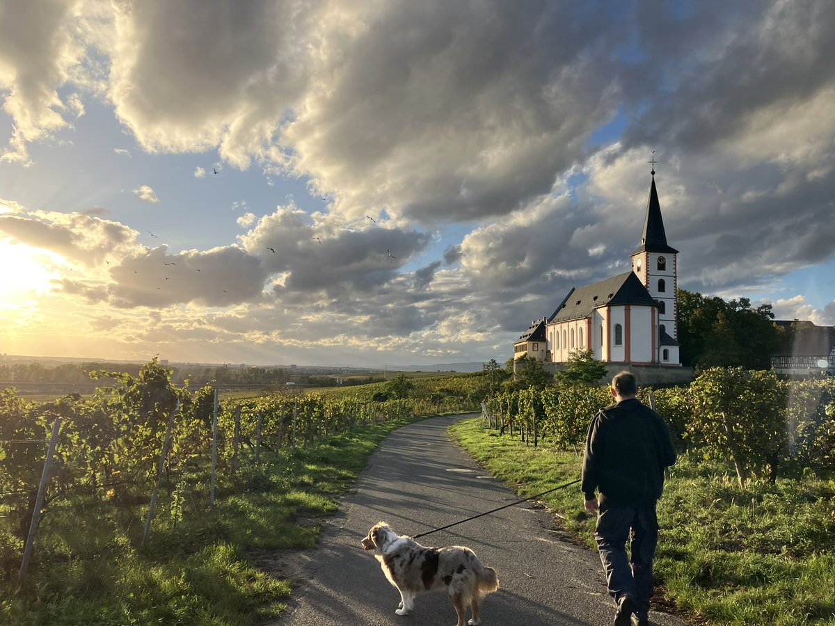 fifmcsporran's tweet photo. @germany_iam In the heart of Riesling country Hochheim am Main https://t.co/tbbMxRShco