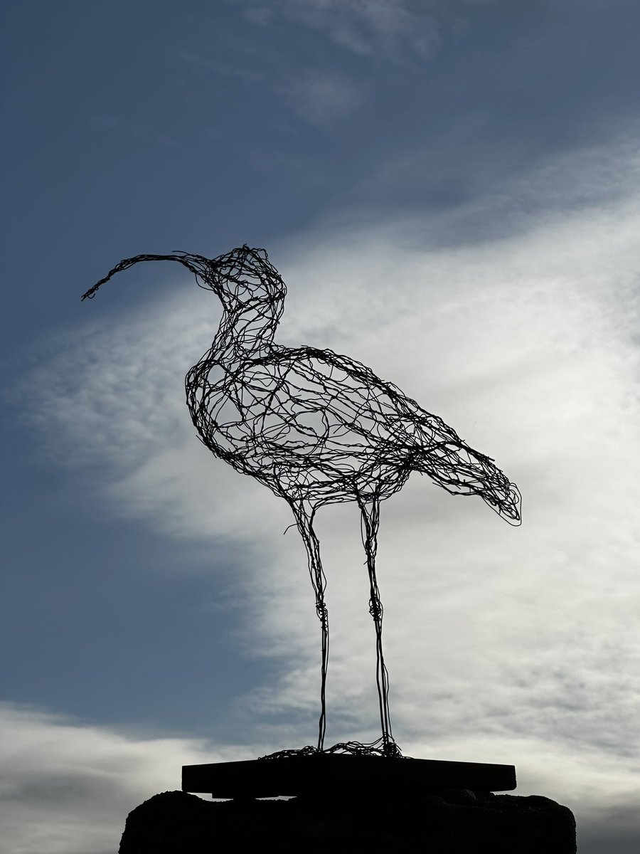 Mag North is celebrating #worldcurlewday in #nidderdale today with our very own domesticated wader - that the incredible @zoerobinsonsculpture created for us back in 2019. Lots of folk care deeply about these magical birds - and it's imperative we protect them