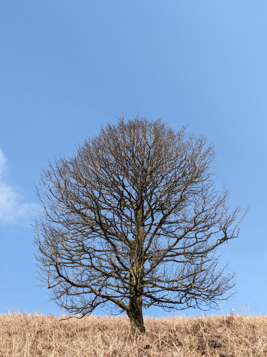 Final training walk in the #peakdistrict

Stunning day.