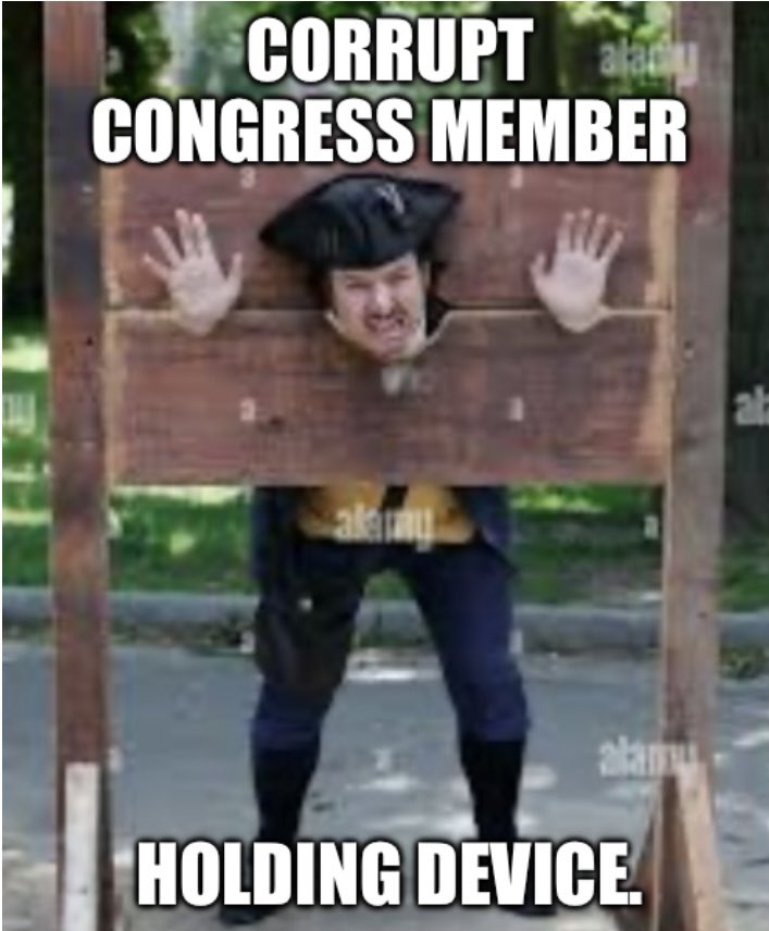 Who else would like to see all of the corrupt traitors in Congress who are taxing us as they refuse to represent us and purposely attempting to destroy America placed in stocks as they await the prescribed punishment for treason?