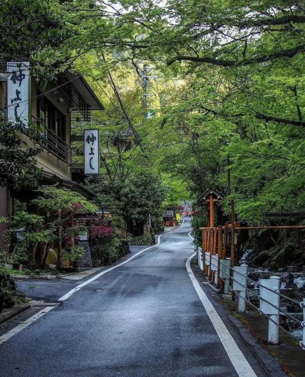 Kyoto Japan 🇯🇵