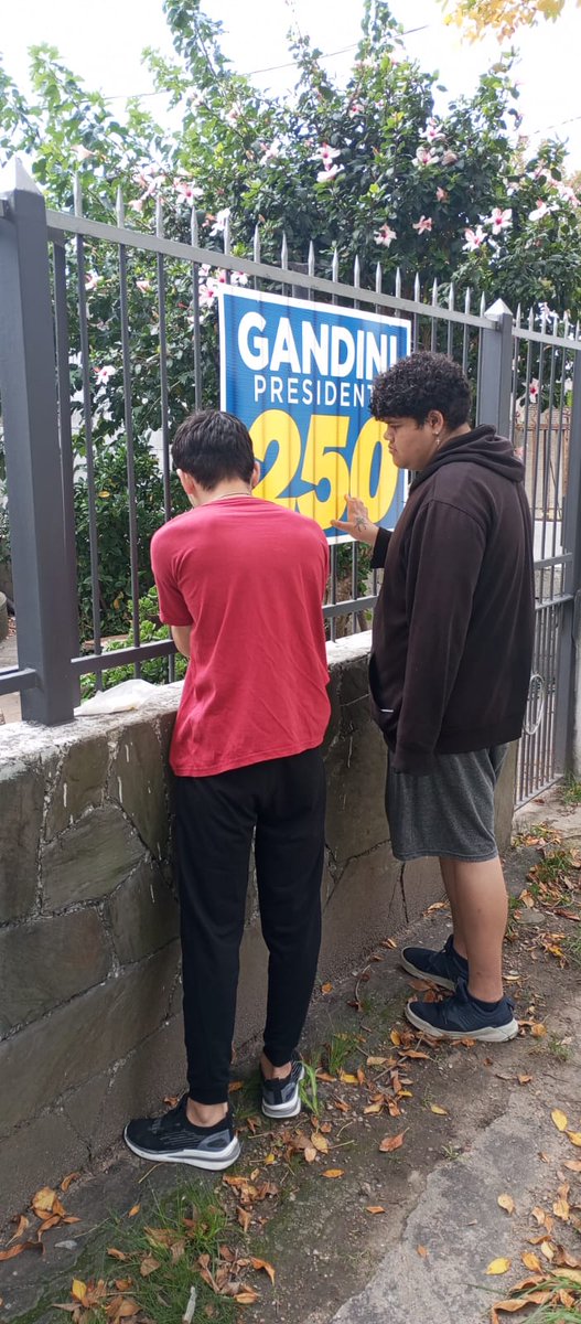 LozanoEdil's tweet photo. Hoy los queridos compañeros decorando el local en capitán tula y belloni donde con Vero, Rosa y Alex trabajaremos por la candidatura de @jorgegandini y por @movporlapatria para que el @PNACIONAL tenga el respaldo de cara a junio y octubre https://t.co/gp7woA8Dwa