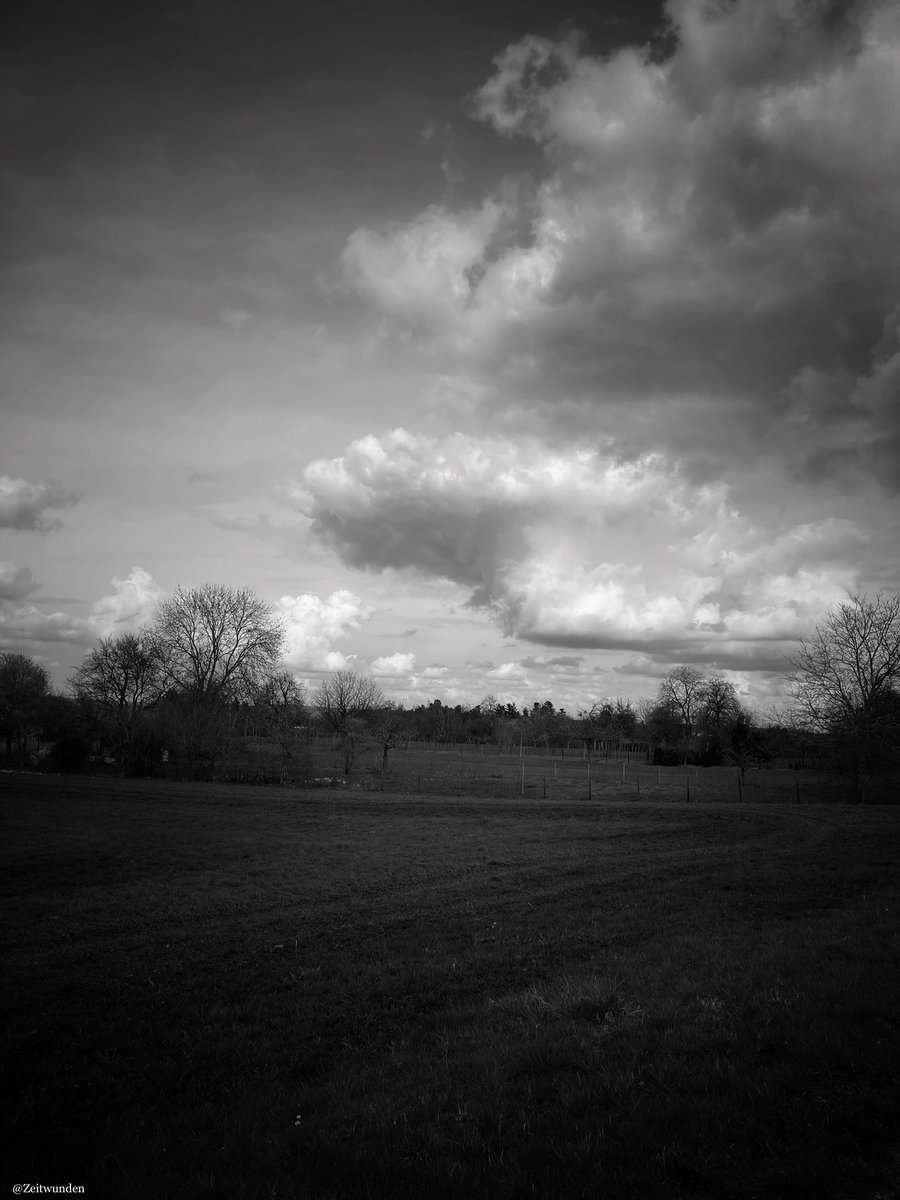 ƵϢ (@zeitwunden) on Twitter photo 