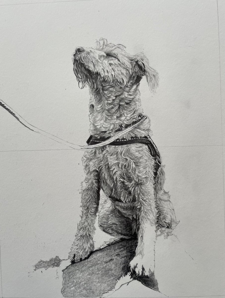 Another update on my drawing of Rupert the Lakeland terrier enjoying a sea breeze. I'm enjoying this more than any drawing I've done in ages!