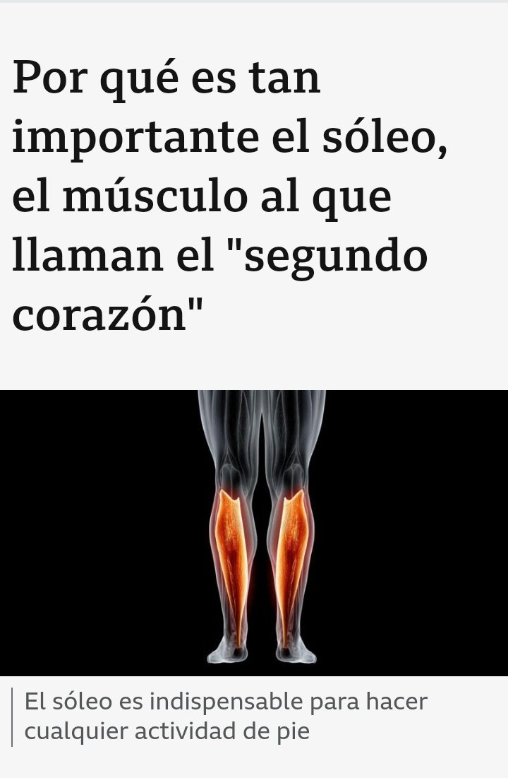 El Soleo.....👇👇👇👇

Lacava El CNE Leverkusen Vinotinto Barcelona Yangel Herrera Santiago Bernabeu