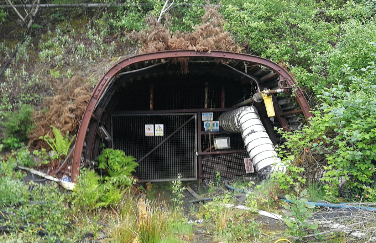 All over Garnwen forestry 🌲 in Maesteg 💪 are numerous old drift mines ⛏️ 

There are fifteen of them  in total  with an underground network or portals, headings and ventilation shafts 

Here are four of them