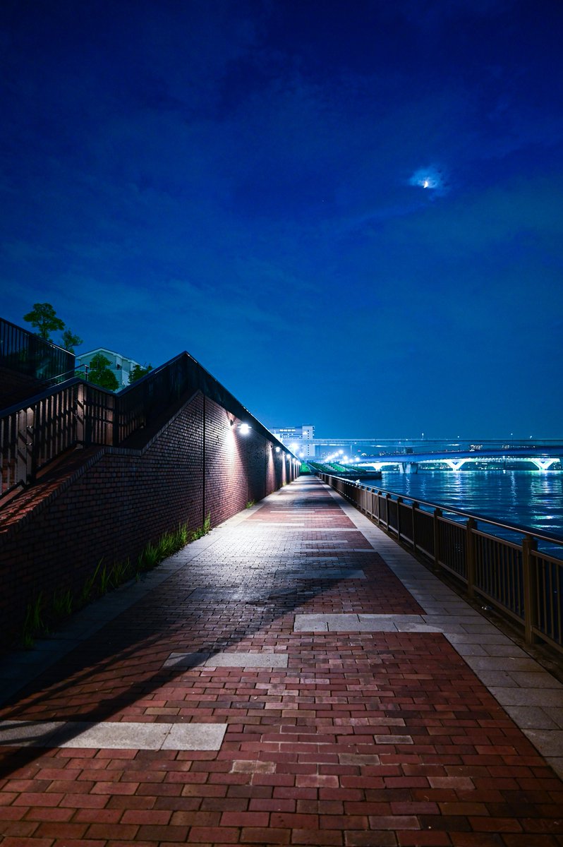 PAPUA_PHOTO3's tweet image. 月夜の誰も居ない道

#写真好きな人と繫がりたい
#カメラ好きな人と繋がりたい