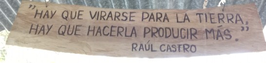 Mientras en mi núcleo discutíamos sobre el cumplimiento del plan, miré la frase de Raúl escrita sobre madera: 'Hay que virarse para la tierra, hay que hacerla producir más'. Y asumimos ese compromiso moral, que es lo quenos toca: ¡producir más! #UnidosXCuba #GenteQueSuma