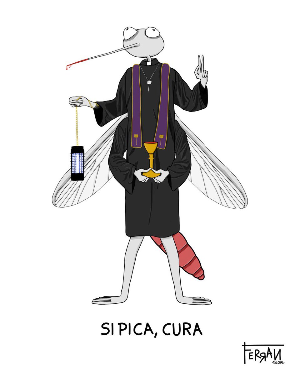 Suposo que ningú se’n salva dels rols que se’ns atribueixen al néixer.

#humor #humorgràfic #dibuix #dissenygràfic #mosquit