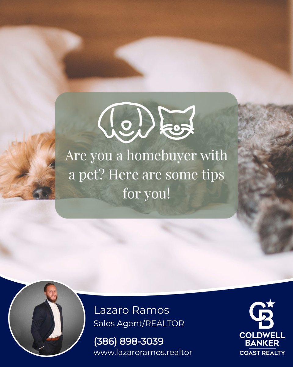 Here are the most important features of a home that pet lovers look for:

1) A fenced backyard
2) Laminate flooring
3) A place to hide the litter box
4) A nearby walking path
5) A spot to put the dog's kennel
6) A dog park

#petlover #petlovers #dogs #homebuyingprocess