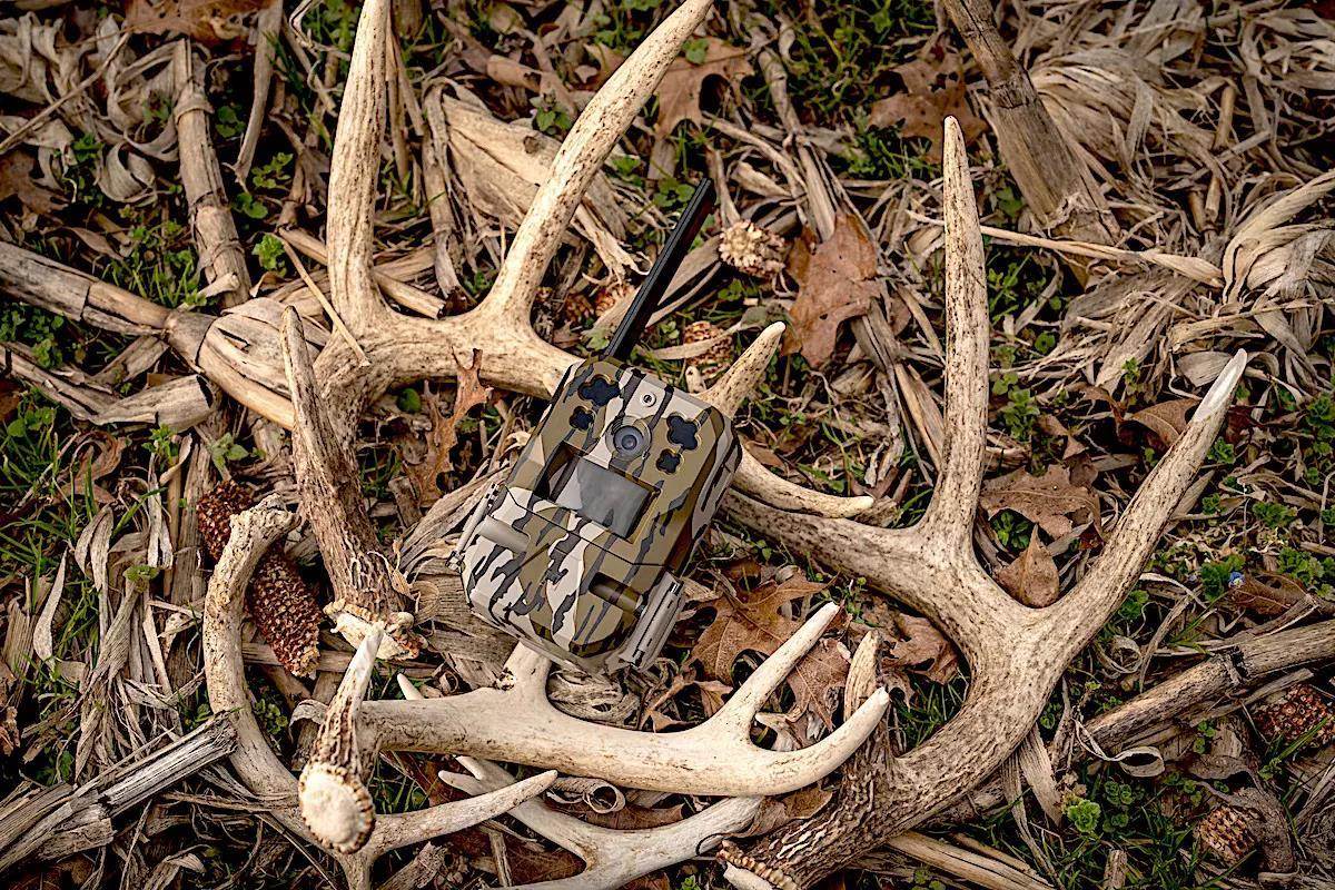 Look to game cameras for clues to help you tag a big buck next fall. Here are 5 ways to use trail cameras for off-season deer intel via @GameAndFishMag: bit.ly/3UiN4YA #FindYourAdventure #hunting #outdoors #trailcamera #moutrie #deer #deerseason #scouting