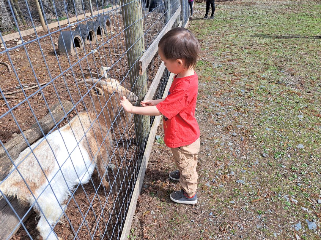 Looking back at the fun-filled #Easter long weekend packed with joyful Family Experiences! 🐰🥚 In Abbotsford, CAN families spent time with furry friends at a Petting Barn, participated in an Easter Eff Hunt, enjoyed pedal carts, a playground and more at @TavesFarms!
