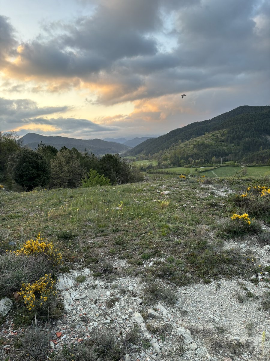 ‘Sempre buscarem el lloc més alt Per mirar ben lluny de terra Per penjar-nos d’una estrella I que ens trobem com a casa’ #blaumut Els blaus que em fan emmudir.