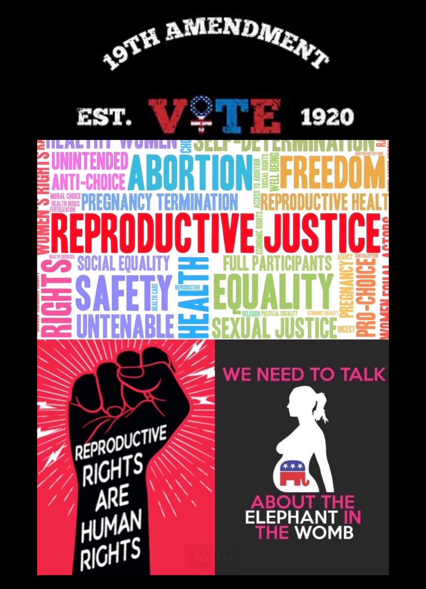 Women need to vote in the 2024 election like their rights are at stake because once MAGA takes away your freedom to choose your freedom to vote is next. #19thAmendment #WomensRights #StopMAGA #RightToChoose #RoeVsWade