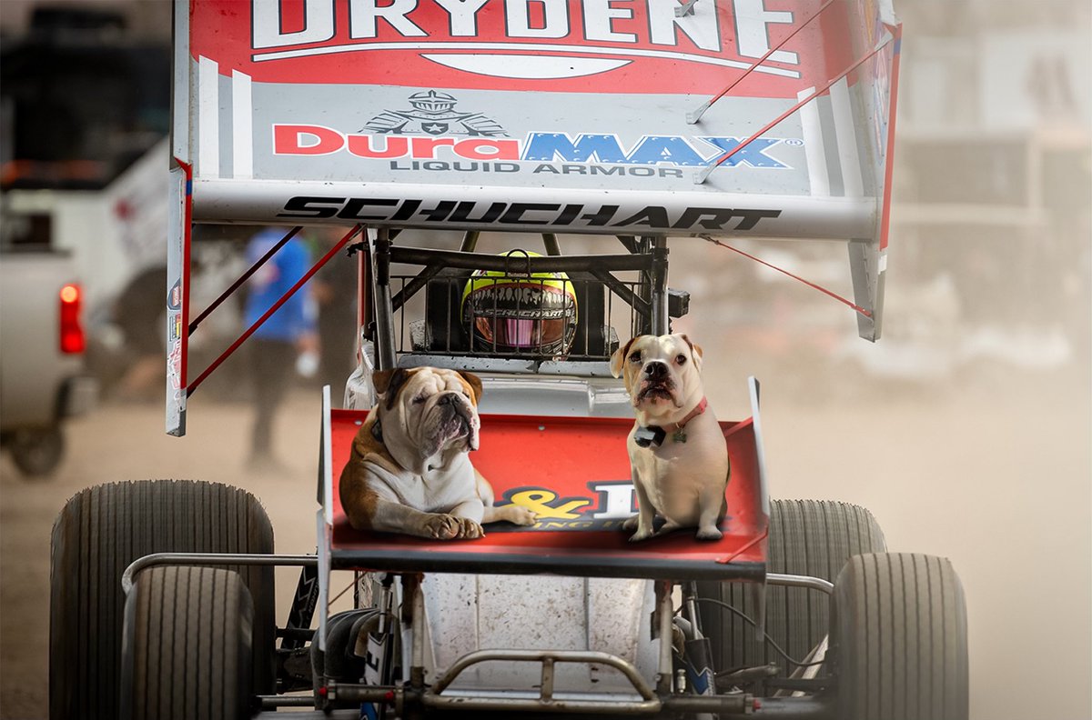 Bubba and Pearl taking a ride with dad for National Bulldog Day! 🐶 #nationalbulldogday